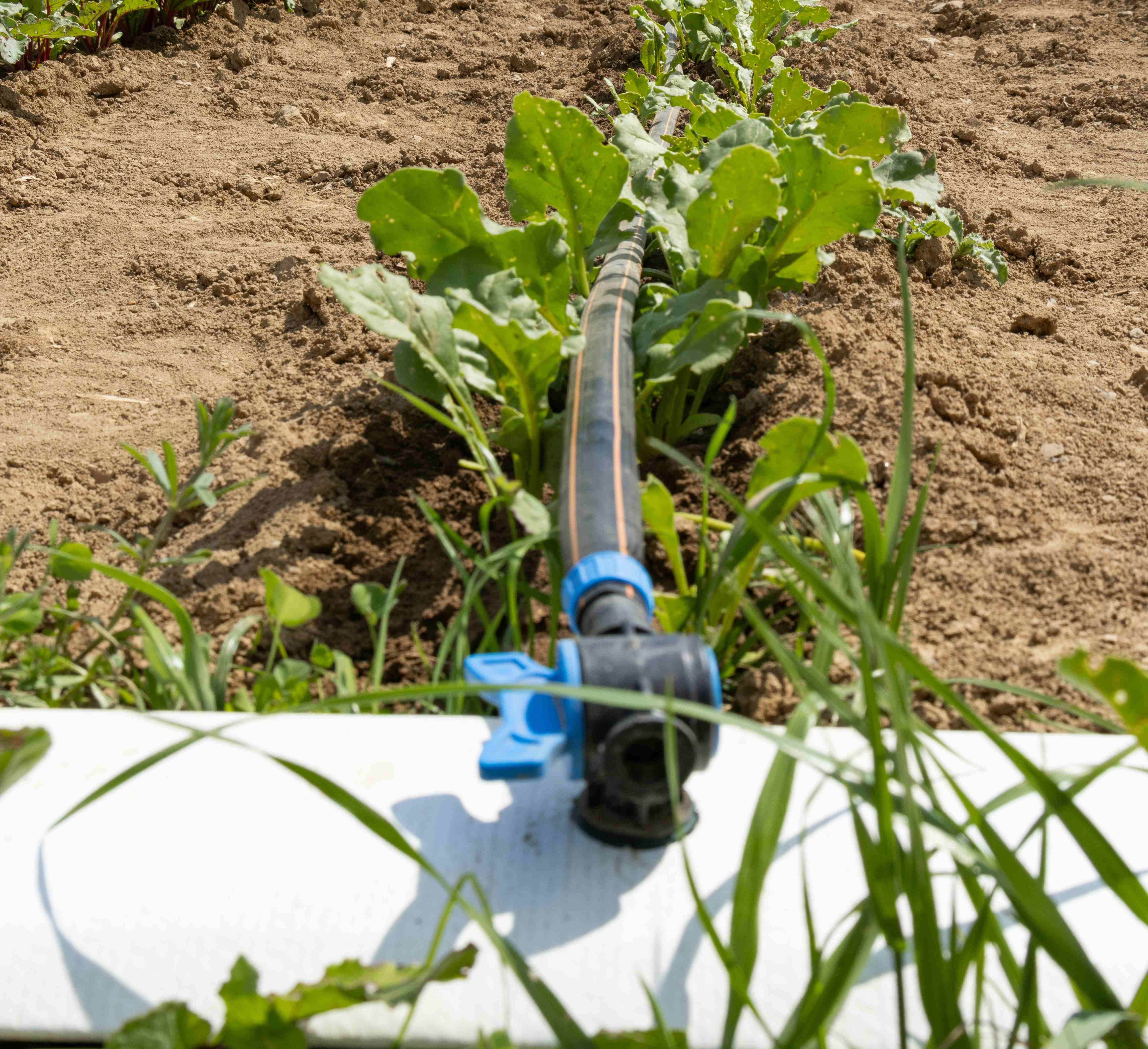 نوار آبیاری